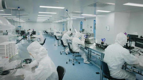 北芯生命遞交招股書 擬募資12.74億元，加速新材料技術研發與產業化進程